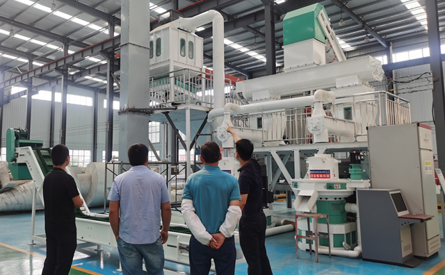 木屑制粒機生產線設備 木屑制粒機生產線設備