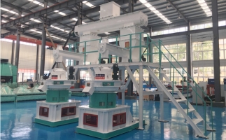木屑顆粒機多少錢一臺?建顆粒廠大約多少錢？